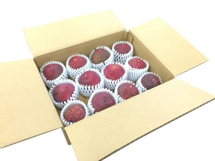 【数量限定】【期間限定】栃木県産ハウス栽培の絶品パッションフルーツ1kg ◇南国フルーツ◇ ※2025年6月下旬頃より順次発送予定