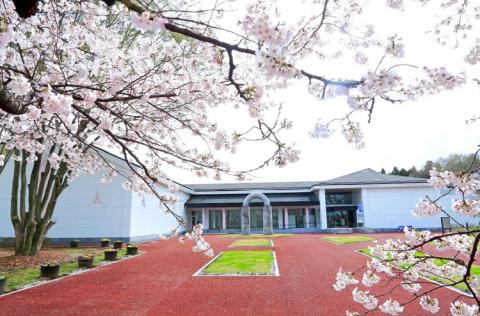 【さくら市ミュージアム】平山郁夫展入場券・ミュージアム図録