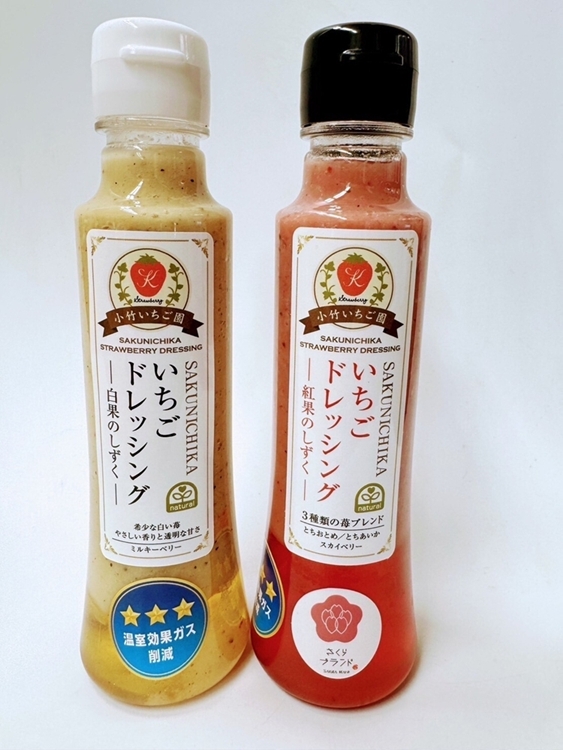 【SAKUNICHIKA】さくらブランド6種ギフトセット｜とちあいか とちおとめ スカイベリー ミルキーベリー 栃木県 さくら市 イチゴ 苺