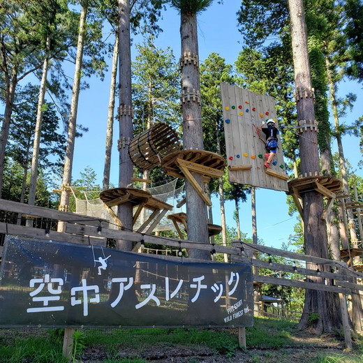 58ロハスクラブ　空中アスレチック『Wild Forest One』利用券