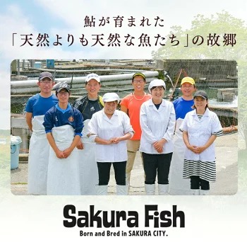 【鮎の特製炭火焼 10尾】産地直送 天然仕立て おつまみ 高級 ※沖縄・離島への配送不可