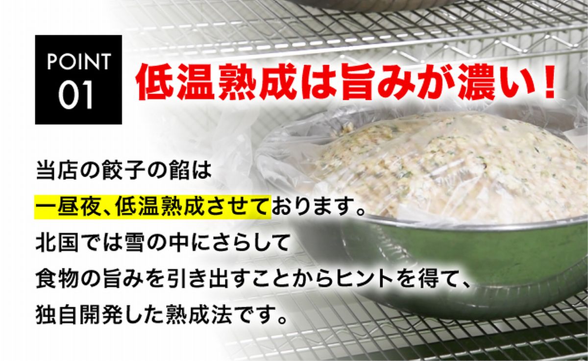 「宇都宮餃子館」シソ餃子 960ｇ（４８個）ギョーザ 冷凍餃子 冷凍食品 グルメ 食品 惣菜 中華惣菜 点心 中華 送料無料