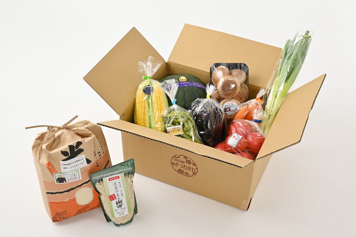 さくら市産の農産物詰め合わせDX≪野菜 旬の野菜 米 送料無料≫