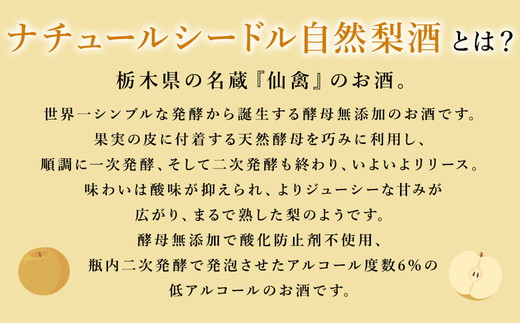 ドメーヌ・パーラー ナチュール シードル 自然梨酒 375ml｜数量限定 せんきん 栃木県 さくら市 送料無料