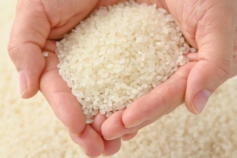 えびちゃんちの米　さくら市葛城産　5Kg ≪令和6年産 米 お米 白米 ご飯 栃木県産 送料無料≫