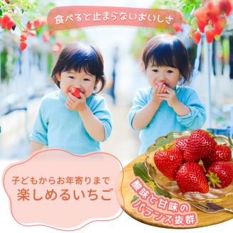 【2月発送】【先行予約】【数量限定】とちおとめ　280g × 4パック｜いちご イチゴ 苺