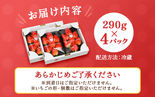 〈数量限定〉【先行予約】さくら市産イチゴ（とちあいか）290g×4パック【先行予約 栃木県 果物 くだもの フルーツ 苺 いちご】 ※2025年12月下旬～2026年3月下旬頃に順次発送予定