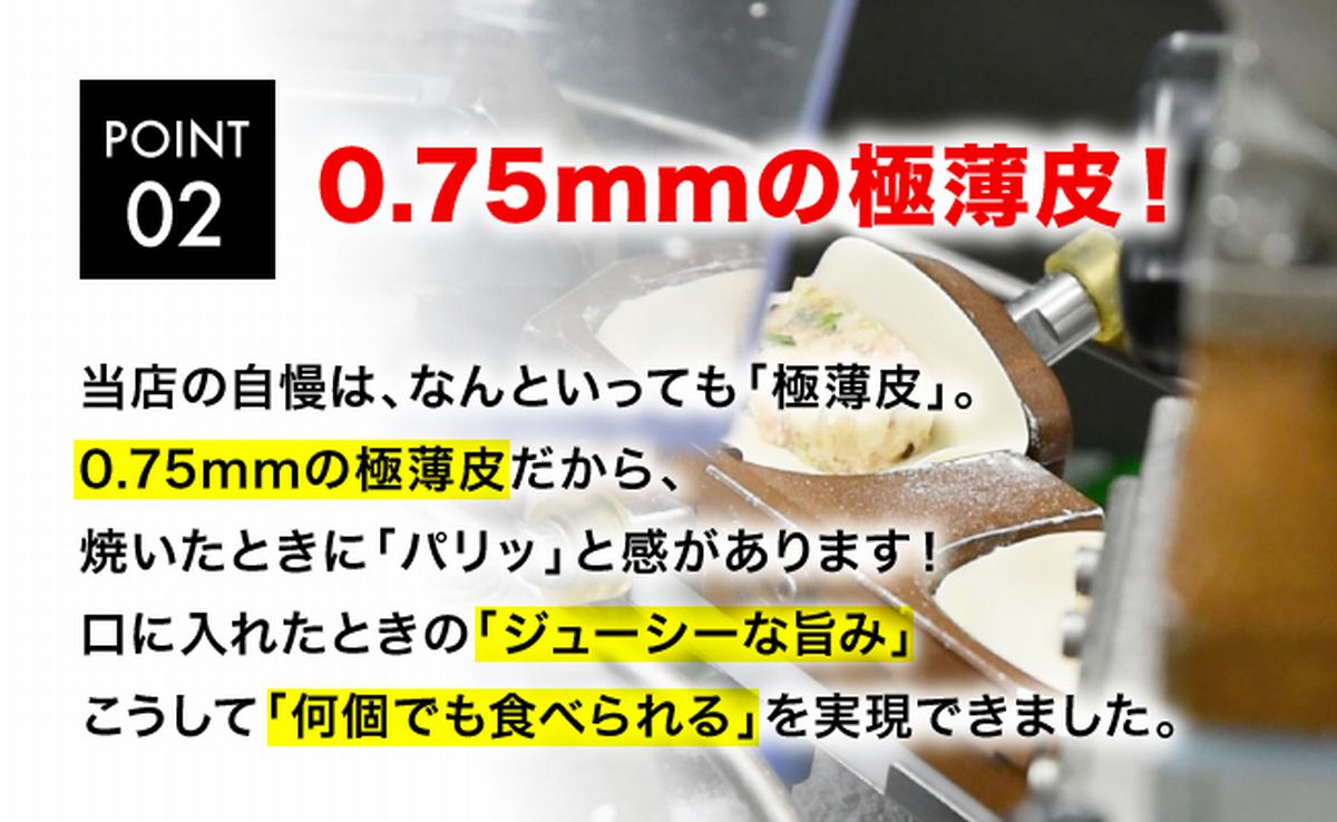エビシウマイ 960ｇ（４８個）焼売 海老焼売 冷凍焼売 冷凍食品 中華惣菜 中華点心 グルメ 送料無料