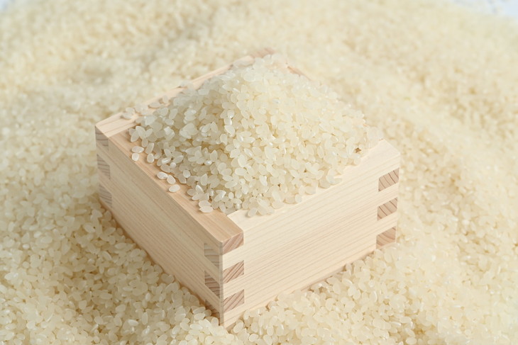 さくら市産の農産物詰め合わせDX≪野菜 旬の野菜 米 送料無料≫