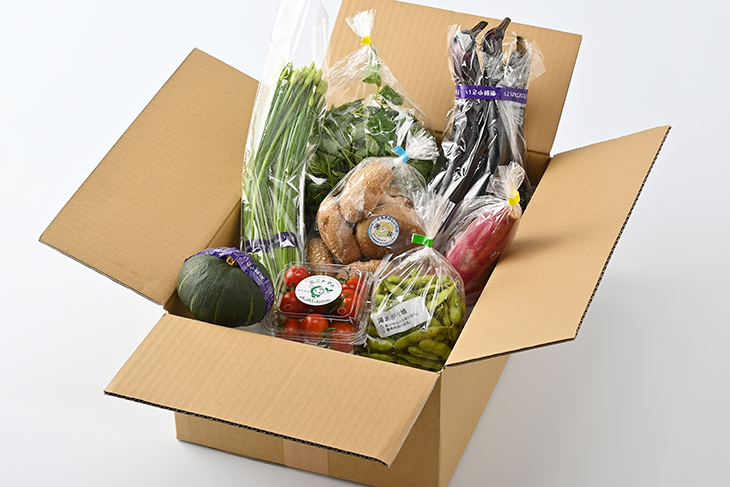 【産地直送】採りたて野菜セット 野菜セット 旬の野菜  新鮮 詰め合わせ 栃木県産 国産