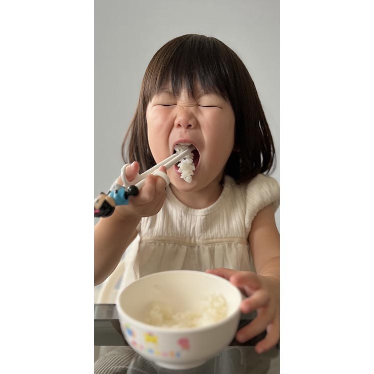 令和7年度産　栃木県産にじのきらめき 精米5kg　栃木県共通返礼品｜米 コメ 地域おこし協力隊