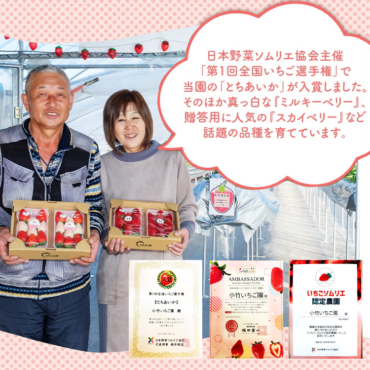 【定期便】栃木のいちご3銘柄（とちあいか　とちおとめ　スカイベリー）定期便　400g×1パック　※2026年1月上旬頃から1ヶ月毎1種類ずつ順次発送予定