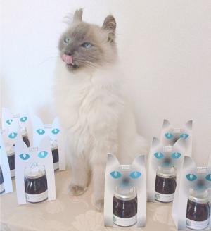 【猫パッケージ入り】はちみつ入りフルーツジャム2種＆栃木県産はちみつ1種の3点セット｜ハチミツ 蜂蜜 瓶 苺 ブルーベリー ギフト