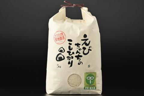 えびちゃんちの米　さくら市葛城産　5Kg ≪令和6年産 米 お米 白米 ご飯 栃木県産 送料無料≫