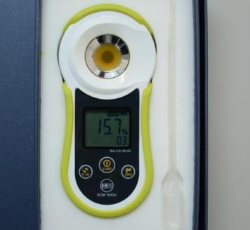 【数量限定】【期間限定】栃木県産ハウス栽培の絶品パッションフルーツ1kg ◇南国フルーツ◇ ※2025年6月下旬頃より順次発送予定