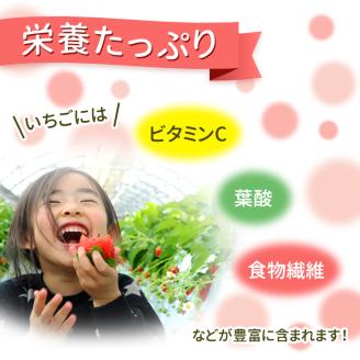 【2月発送】【先行予約】【数量限定】とちおとめ　280g × 4パック｜いちご イチゴ 苺