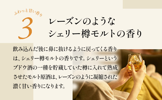 ウイスキー　ブラックニッカ　リッチブレンド　700ml×10本 ※着日指定不可