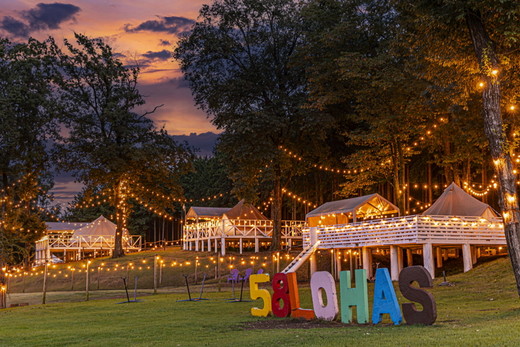 58ロハスクラブ　空中アスレチック『Wild Forest One』利用券