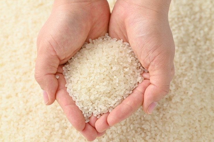 さくら市産の農産物詰め合わせDX≪野菜 旬の野菜 米 送料無料≫