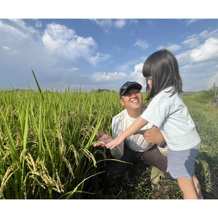 令和7年度産　栃木県産にじのきらめき 精米10kg　栃木県共通返礼品｜米 コメ 地域おこし協力隊