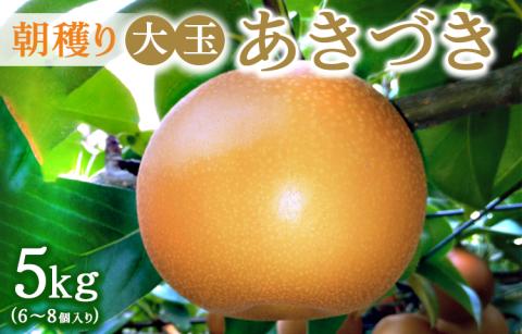 朝穫り 大玉【あきづき】5kg 6個～8個入り【9月15日受付終了】 梨 なし フルーツ 果物 数量限定 ※2025年9月中旬～9月下旬頃に順次発送予定 ※離島・沖縄への配送不可