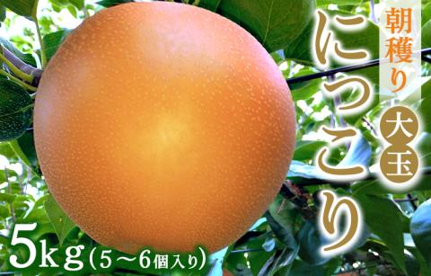 朝穫り 大玉【にっこり】5kg 5個～6個入り【9月20日受付終了】 梨 なし フルーツ 果物 数量限定 ※2025年9月下旬～10月上旬頃に順次発送予定 ※離島・沖縄への配送不可