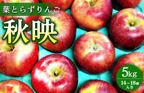葉とらずりんご【秋映】5kg 14個～18個入り【9月30日受付終了】 林檎 リンゴ フルーツ 果物 数量限定 ※2025年9月下旬～10月上旬頃に順次発送予定 ※離島・沖縄への配送不可