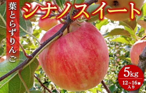 葉とらずりんご【シナノスイート】5kg 12個～16個入り【9月30日受付終了】 林檎 リンゴ フルーツ 果物 数量限定 ※2025年10月上旬～10月中旬頃に順次発送予定 ※離島・沖縄への配送不可