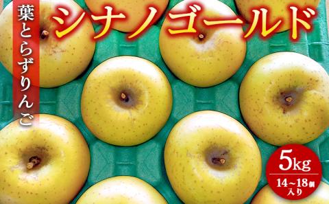 葉とらずりんご【シナノゴールド】5kg 14個～18個入り【9月30日受付終了】 林檎 リンゴ フルーツ 果物 数量限定 ※2025年10月中旬～10月下旬頃に順次発送予定 ※離島・沖縄への配送不可