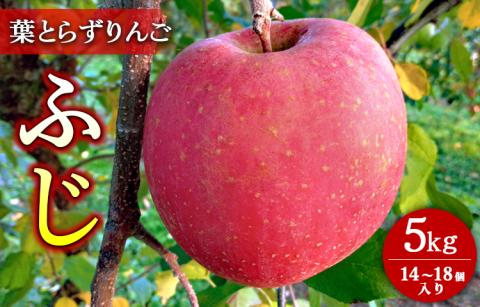 葉とらずりんご【ふじ】5kg 14個～18個入り【10月31日受付終了】 林檎 リンゴ フルーツ 果物 数量限定 ※2025年11月上旬～11月下旬頃に順次発送予定 ※離島・沖縄への配送不可