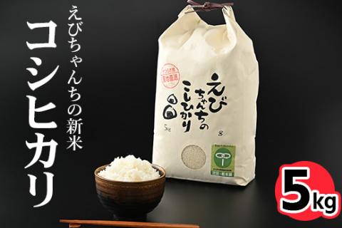 えびちゃんちの米　さくら市葛城産　5Kg ≪令和6年産 米 お米 白米 ご飯 栃木県産 送料無料≫