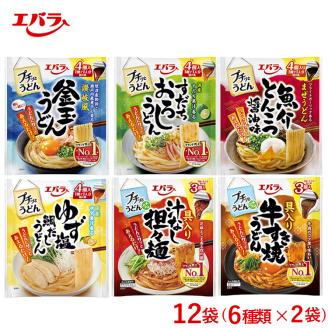 12袋（6種類×2袋）プチッとうどん バラエティ詰め合わせセット｜エバラ 調味料 つゆ うどん スープ