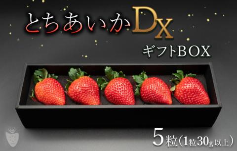 【先行予約】【数量限定】とちあいかDX ギフトBOX（5粒）｜いちご イチゴ 苺 ※2025年11月上旬頃より順次発送予定