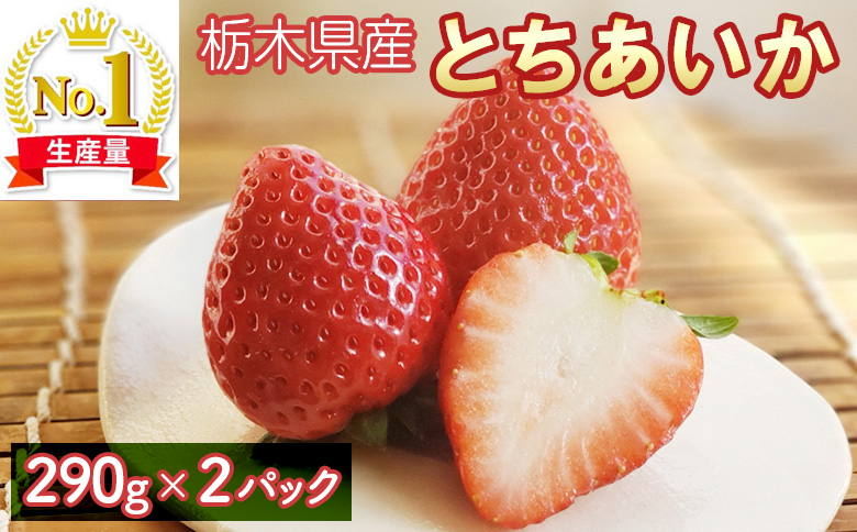 いちご（とちあいか）290g×2パック 喜連川産｜ 道の駅きつれがわ 苺 イチゴ 先行予約 数量限定 栃木県 さくら市 果物 くだもの フルーツ スイーツ プレゼント ※2025年1月上旬～2月下旬頃に順次発送予定