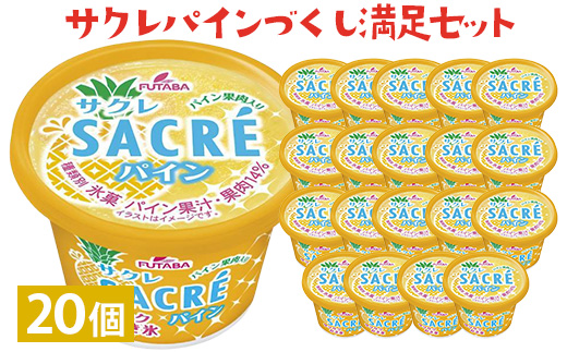 サクレパインづくし満足セット　20個｜アイス かき氷 シャーベット デザート ※着日指定不可 ※離島への配送不可