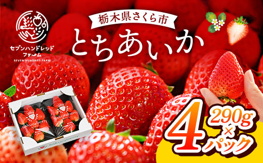 〈数量限定〉【先行予約】さくら市産イチゴ（とちあいか）290g×4パック【先行予約 栃木県 果物 くだもの フルーツ 苺 いちご】 ※2025年12月下旬～2026年3月下旬頃に順次発送予定
