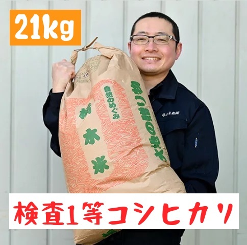 令和7年栃木県産 コシヒカリ 白米21kg【検査1等米】 ※離島への配送不可