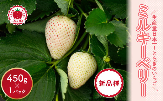 【先行予約】いちご ミルキーベリーセット 450g×1パック ※2026年1月中旬～4月中旬頃に順次発送予定