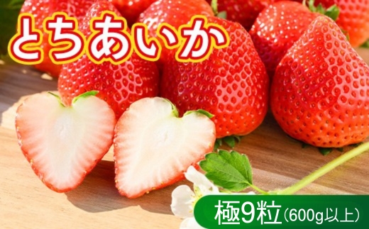 いちご（とちあいか　極）9粒 600g以上｜先行予約 数量限定 栃木県 果物 くだもの フルーツ 苺 イチゴ ※2025年12月上旬～2026年2月下旬頃に順次発送予定