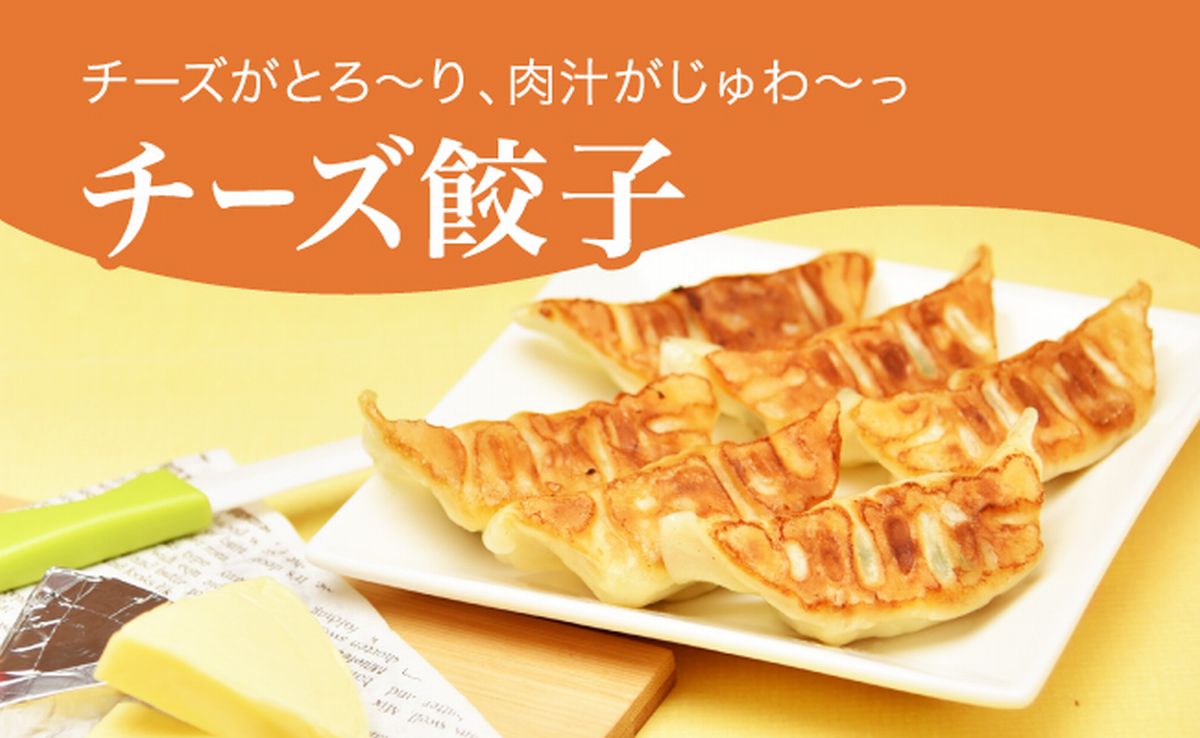 「宇都宮餃子館」チーズ餃子 960ｇ（４８個）ギョーザ 冷凍餃子 冷凍食品 グルメ 食品 惣菜 中華惣菜 点心 中華 送料無料
