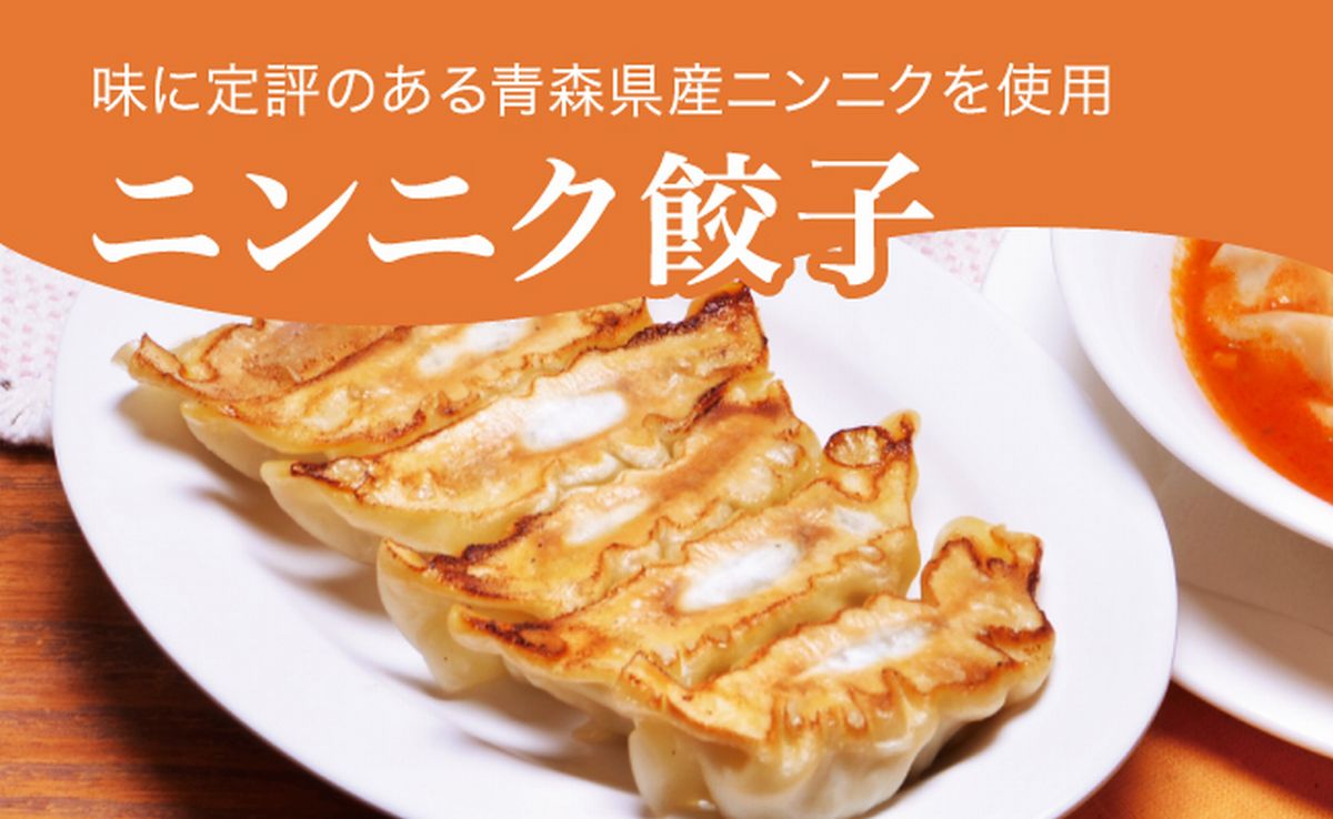 「宇都宮餃子館」ニンニク餃子 960ｇ（４８個）ギョーザ 冷凍餃子 冷凍食品 グルメ 食品 惣菜 中華惣菜 点心 中華 送料無料