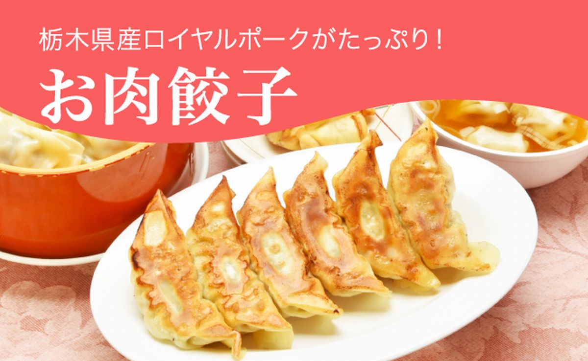 「宇都宮餃子館」お肉餃子 960ｇ（４８個）ギョーザ 冷凍餃子 冷凍食品 グルメ 食品 惣菜 中華惣菜 点心 中華 送料無料