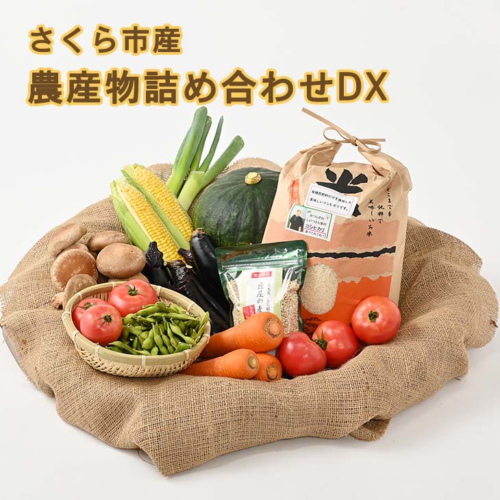さくら市産の農産物詰め合わせDX≪野菜 旬の野菜 米 送料無料≫