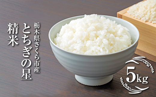 令和7年度　栃木県さくら市産とちぎの星　精米5kg｜米　白米　コメ　こめ　菜っ葉館※2025年11月上旬頃から順次発送予定