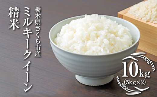 令和7年度　栃木県さくら市産ミルキークイーン　精米10kg（5kg×2）｜米　白米　コメ　こめ　菜っ葉館※2025年11月上旬頃から順次発送予定