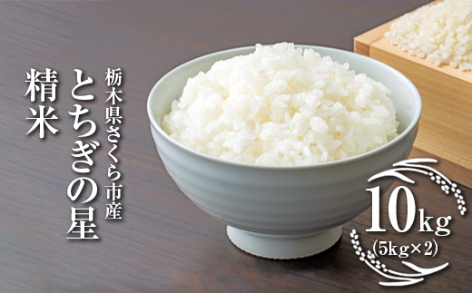 令和7年度　栃木県さくら市産とちぎの星　精米10kg（5kg×2）｜米　白米　コメ　こめ　菜っ葉館※2025年11月上旬頃から順次発送予定