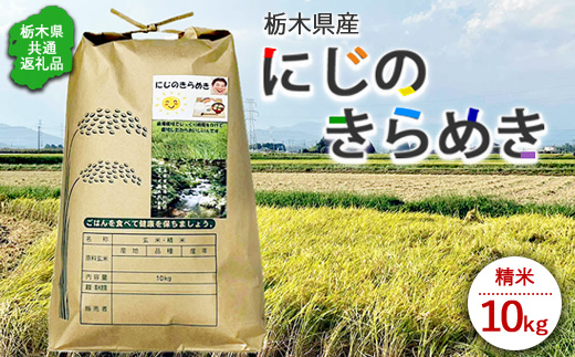 令和7年度産　栃木県産にじのきらめき 精米10kg　栃木県共通返礼品｜米 コメ 地域おこし協力隊