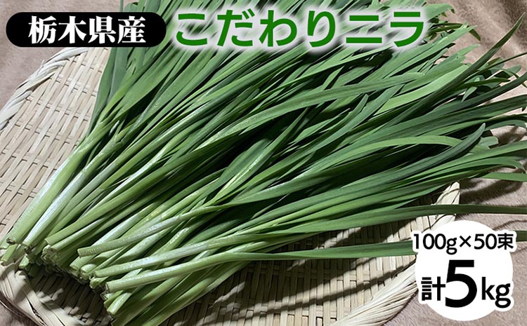 栃木県産こだわりニラ100g×50束 ｜ さくら市 にら 韮 野菜 国産