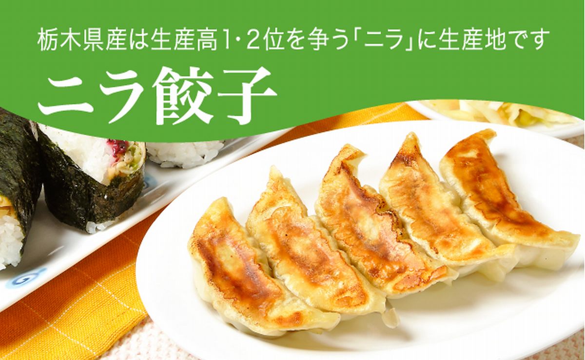 ニラ餃子 960g(48個)ギョーザ 冷凍餃子 冷凍食品 グルメ 食品 惣菜 中華惣菜 点心 中華 送料無料