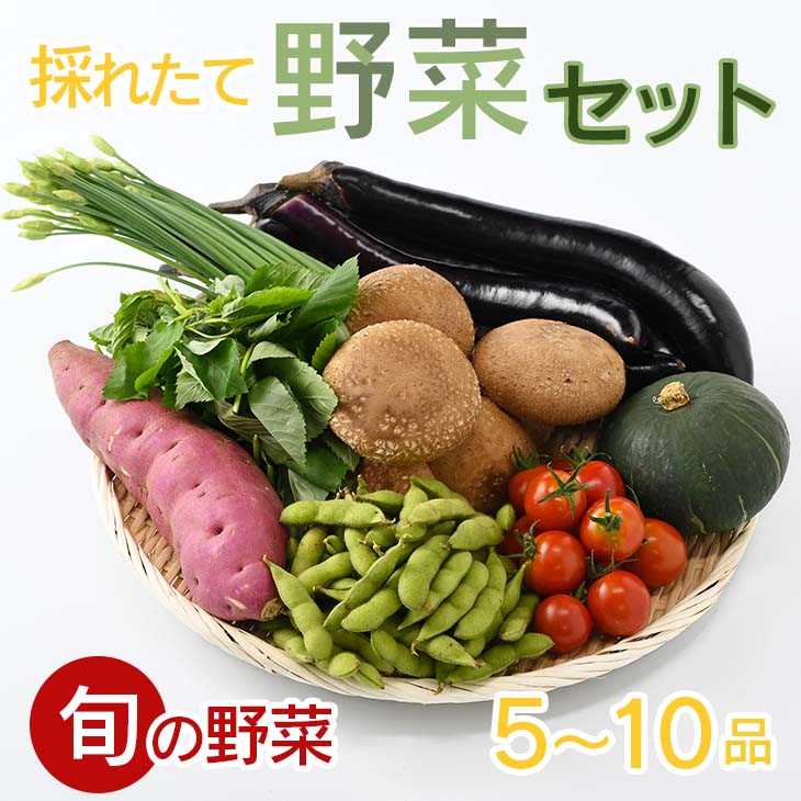 [産地直送]採りたて野菜セット 野菜セット 旬の野菜 新鮮 詰め合わせ 栃木県産 国産